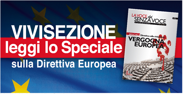 BannerNrSpeciale