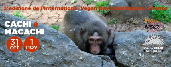 Vegan_Days_Settignano