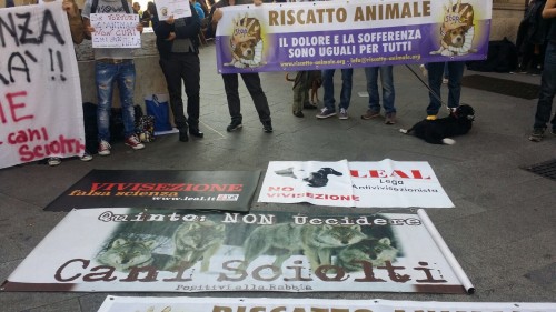 Airc_Rai_manifestazione_