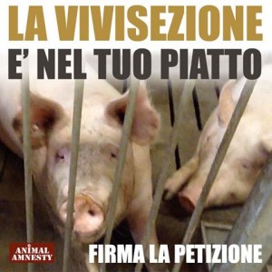 LA VIVISEZIONE NEL TUO PIATTO