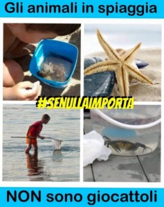 animali_in_spiaggia