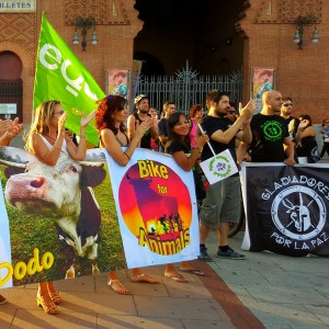 BASTA CORRIDA VEG TOUR ARENA GRUPPO APPLAUSI 12  _n