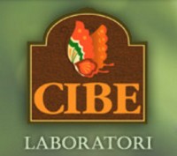 CIBE_logo