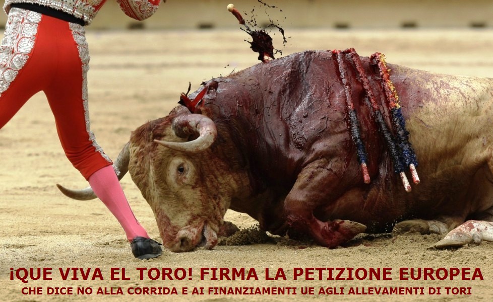 Petizione_NO_CORRIDA_toro