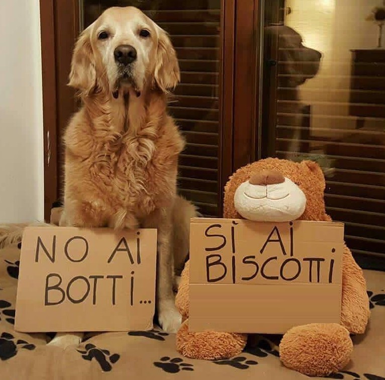 NO_botti_