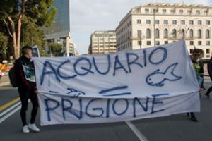 CORTEO GENOVA 04