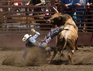 Rodeo Riders