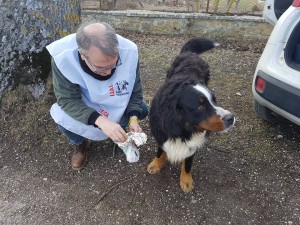 leal amatrice 2017 o4