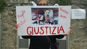 giustizia cane angelo