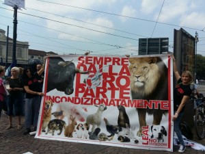 striscione grande leal noo zoo importante