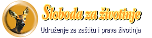 szz_logo_slogan_transparent