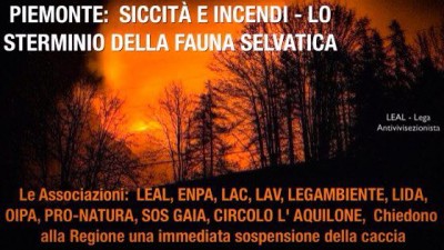 Incendi_Piemonte