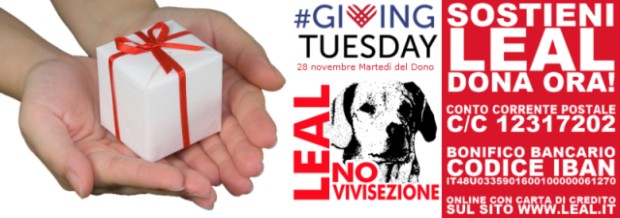 Giving_Tuesday