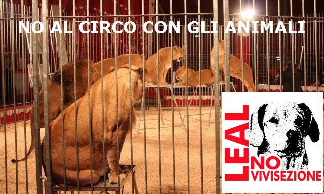 LEAL no-circo