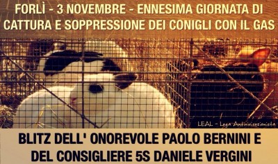 conigli forlì strage FOTO CON LOGO LEAL  07