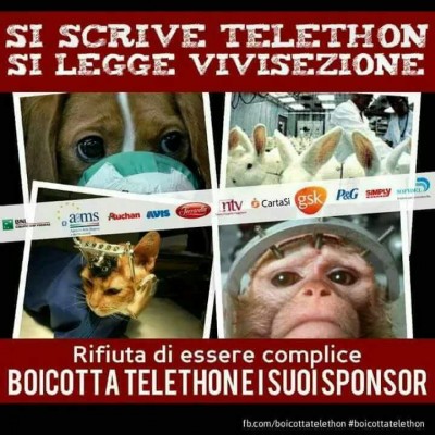 IMMAGINE PER ARTICOLO NO TELETHON