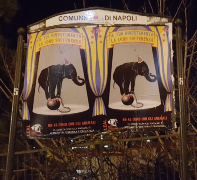 leal affissione circo napoli 2