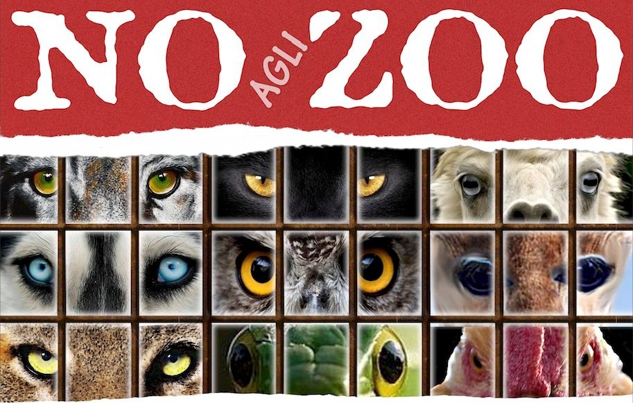 NO_ZOO_manifesto_