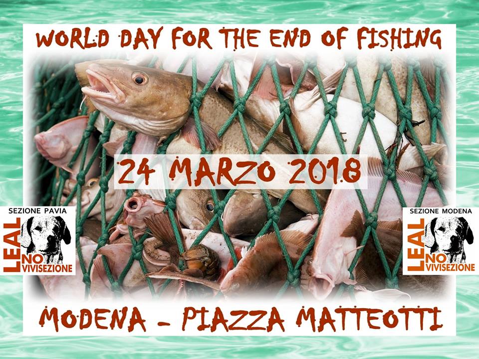 giornata mondiale per la fine della pesca LEAL