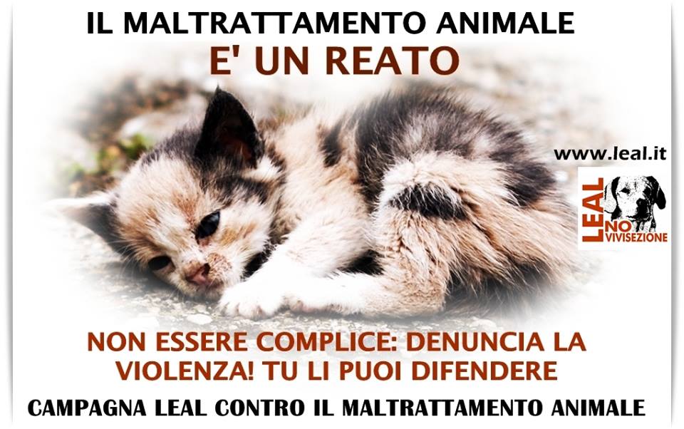 CAMPAGNA LEAL DENUNCIA IL MALTRATTAMENTO 2