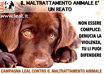 CAMPAGNA LEAL DENUNCIA IL MALTRATTAMENTO 4