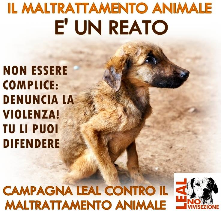 CAMPAGNA LEAL DENUNCIA IL MALTRATTAMENTO 6