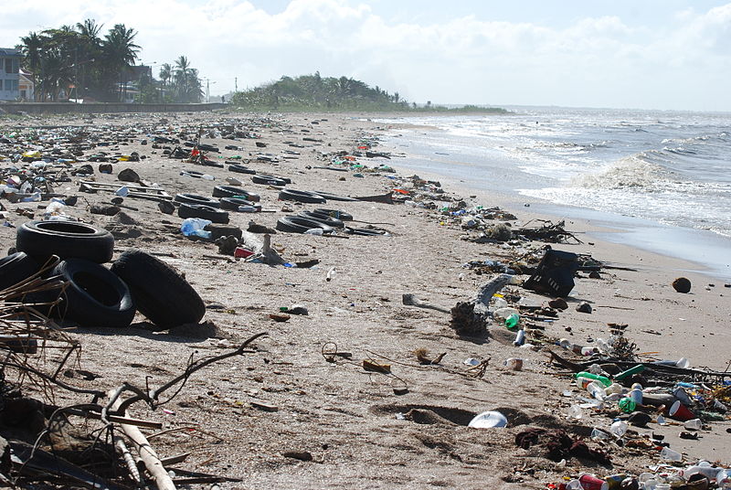 LEAL AMBIENTE SOMMERSI PLASTICA E PETIZIONE