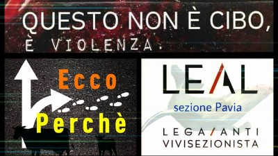 evento pavia 27 maggio cibo violenza