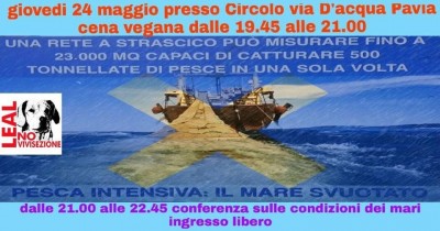 leal pavia 24 maggio