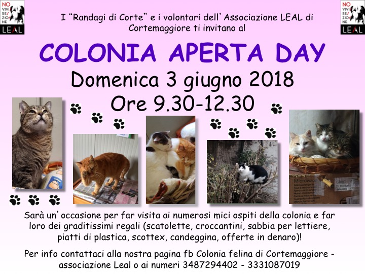 locandina cortemaggiore gattile