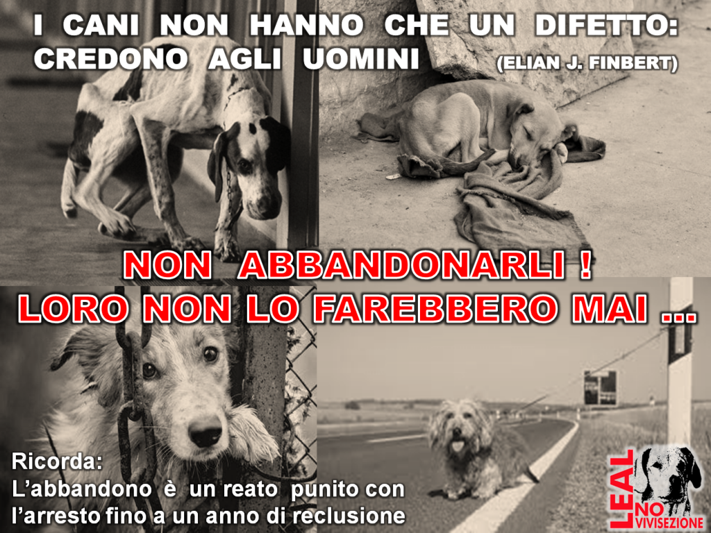 EVENTO TORINO ABBANDONO 2