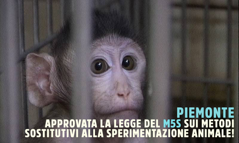 FONDI SOVVENZIONE ricerca scientifica senza animali