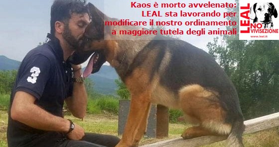 foto cane Kaos morto avvelenato_logo