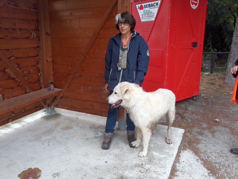 AMATRICE 18 AGOSTO 2018 04 DANILA E CANE