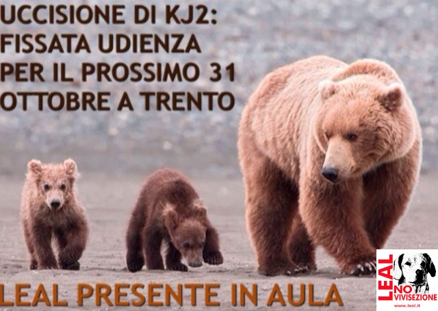 orsa kj2 per sito udienza_