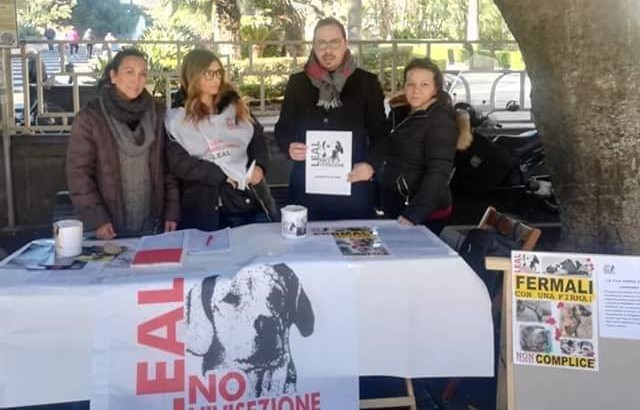 leal catania firme