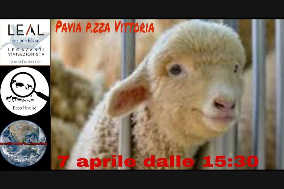 foto evento LEAL PASQUA A PAVIA