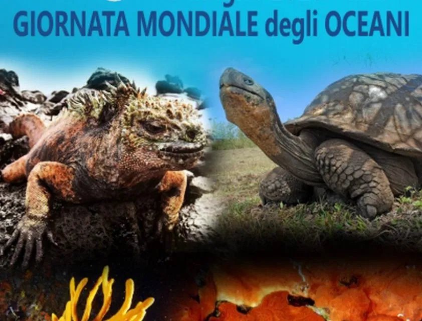 Giornata mondiale degli oceani