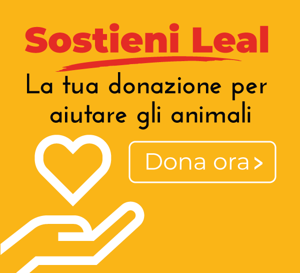 donazioni leal per aiutare animali in difficoltà