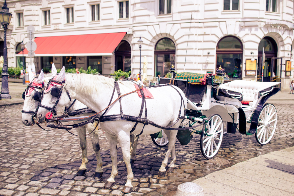 ANIMALISMO: STOP ALLE BOTTICELLE PER LE VIE DI ROMA, POSSONO CIRCOLARE SOLO IN VILLE PARCHI. LEAL: “NON CI BASTA DEVONO ESSERE ABOLITE”. VERGOGNA ROMA!