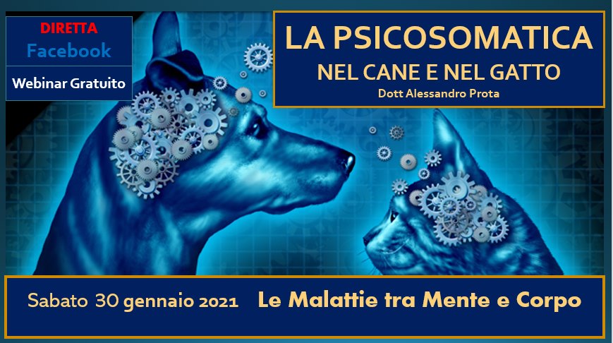 LE MALATTIE PSICOSOMATICHE AFFLIGGONO ANCHE GLI ANIMALI DETENUTI NEI LABORATORI DI VIVISEZIONE