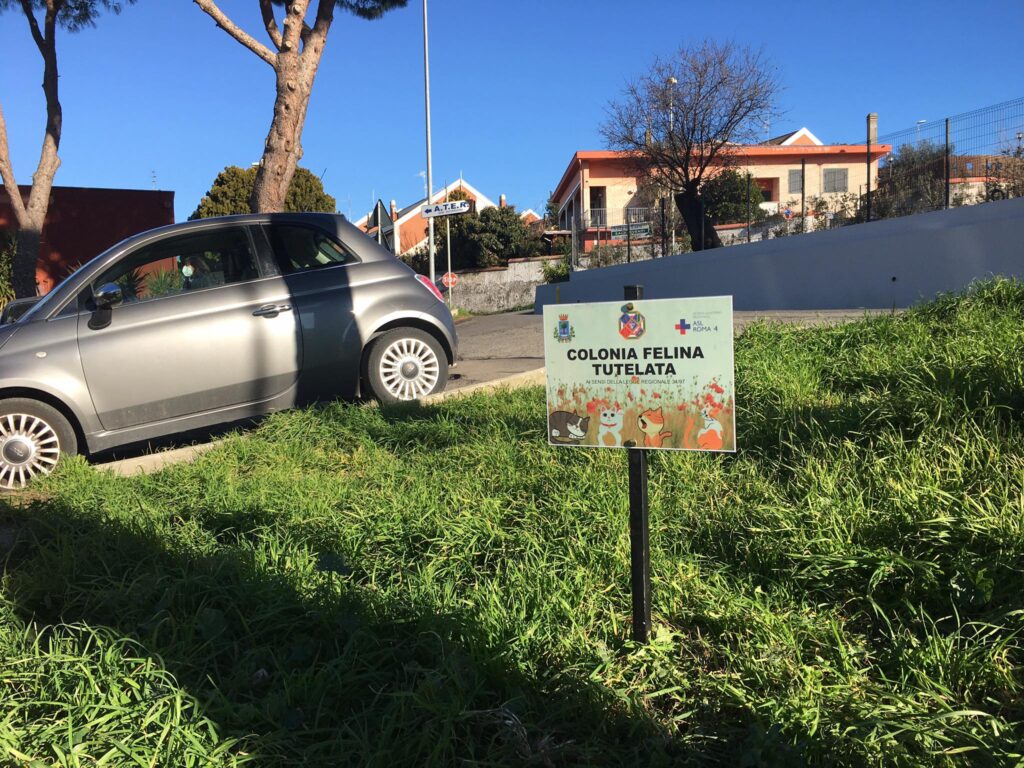 “COLONIA FELINA TUTELATA” A CIVITAVECCHIA