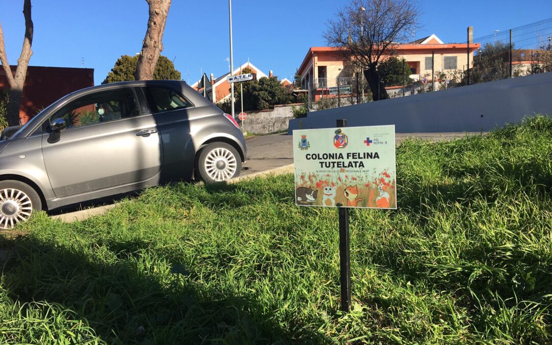 GRAZIE ANCHE A LEAL ARRIVANO I CARTELLI “COLONIA FELINA TUTELATA” A CIVITAVECCHIA