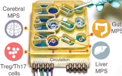 LEAL VIVISEZIONE – UN SISTEMA MULTI-ORGANO SU CHIP RIVELA AI RICERCATORI COME IL SISTEMA DIGESTIVO UMANO PU0′ INFLUIRE SULLE MALATTIE NEURODEGENERATIVE