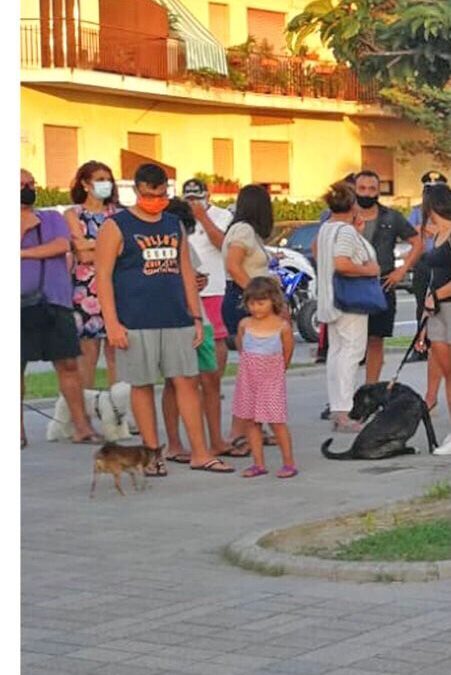 LEAL E OIPA VINCONO IL RICORSO AL TAR  CONTRO IL SINDACO DI FALERNA CHE VOLEVA VIETARE I CANI IN SPIAGGIA E SUL LUNGOMARE