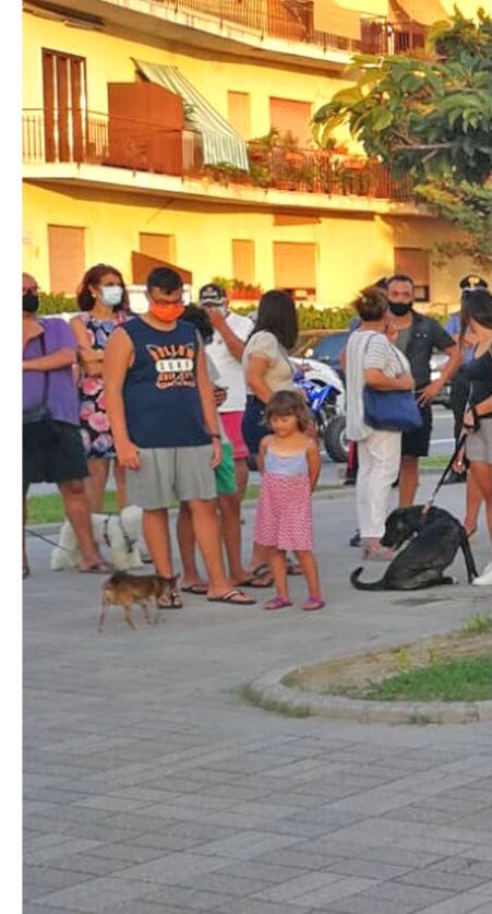 divieto cani sulla spiaggia