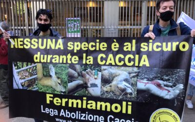 LEAL ANIMALISMO – SIAMO DAVANTI ALLA REGIONE LOMBARDIA:  IN AULA LE NORME A FAVORE DEL BRACCONAGGIO LEAL PRESENTE AL PRESIDIO IN REGIONE