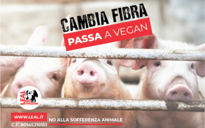 LEAL LANCIA LA NUOVA CAMPAGNA – CAMBIA FIBRA: PASSA A VEGAN! LA CAMPAGNA DI LEAL CHE COINVOLGERÀ ANCHE I RISTORANTI CHE OFFRONO MENÙ VEGETALI