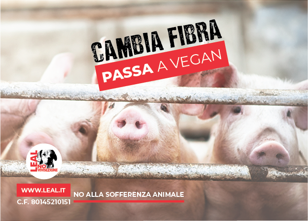 LEAL LANCIA LA NUOVA CAMPAGNA – CAMBIA FIBRA: PASSA A VEGAN! LA CAMPAGNA DI LEAL CHE COINVOLGERÀ ANCHE I RISTORANTI CHE OFFRONO MENÙ VEGETALI