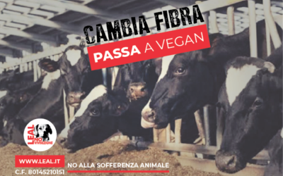 LEAL SCEGLIE VEGAN – 1 NOVEMBRE WORLD VEGAN DAY